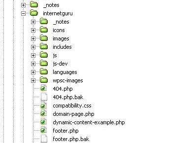 Dreamweaver file manager screen shot
